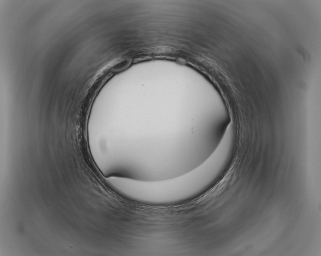 X0000112911210200909211024