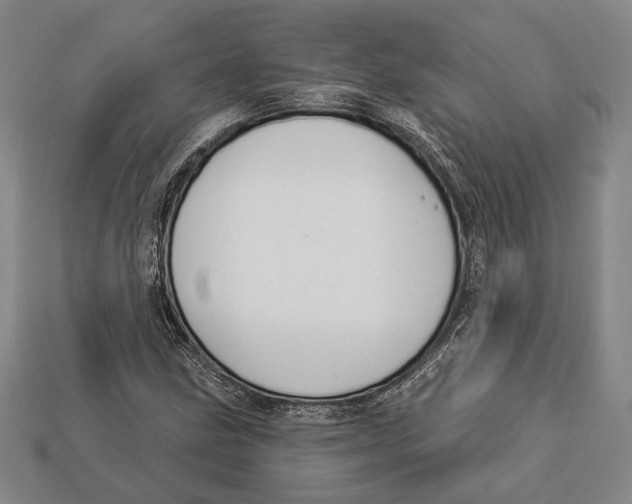 X0000112911211200909211024