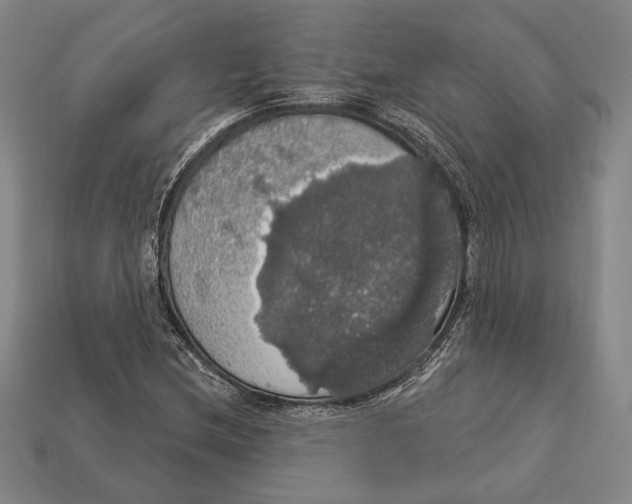 X0000112911212200909211024