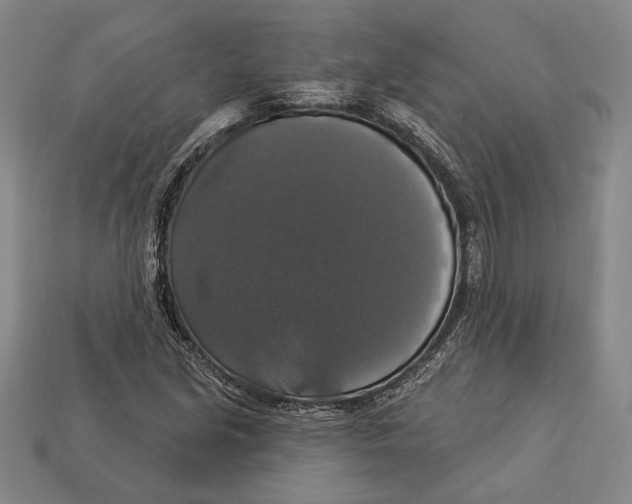 X0000112911213200909211024