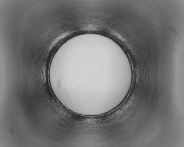 X0000112911214200909211024