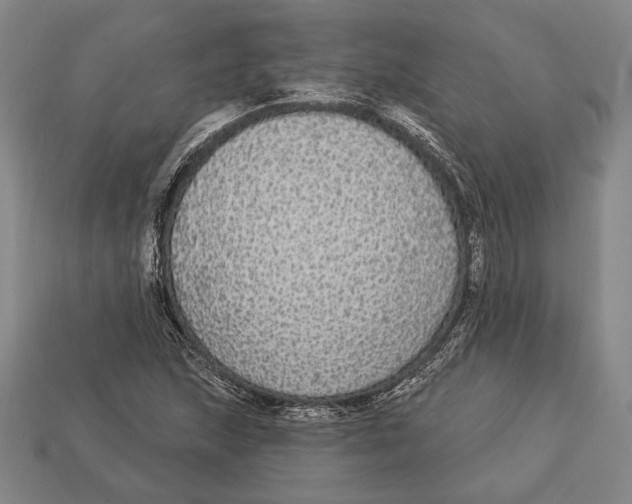 X0000112911215200909211024