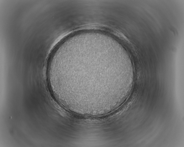 X0000112911216200909211024