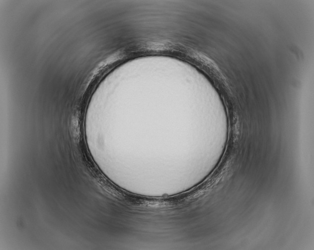 X0000112911218200909211024