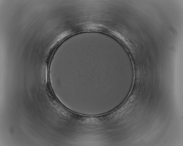 X0000112911219200909211024