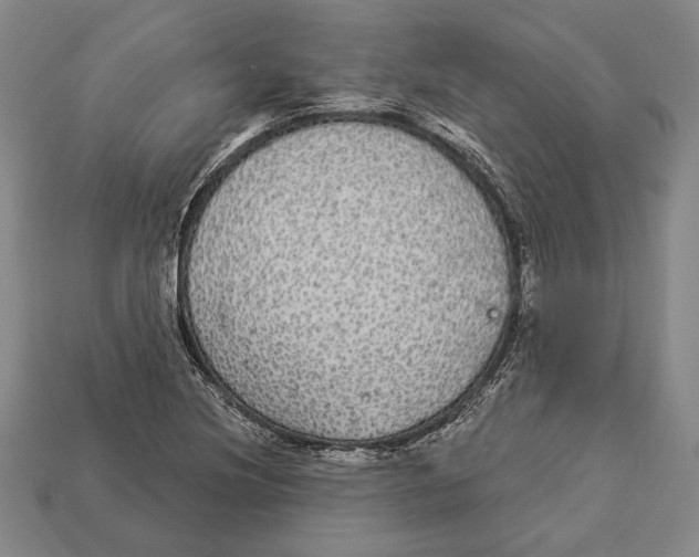 X0000112911220200909211024