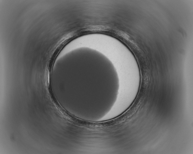 X0000112911221200909211024