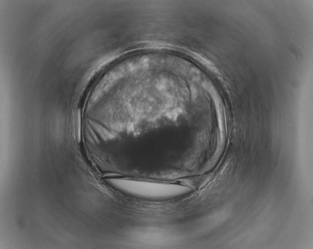 X0000112911223200909211024