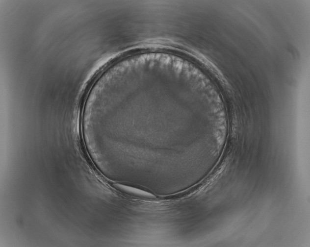 X0000112911224200909211024