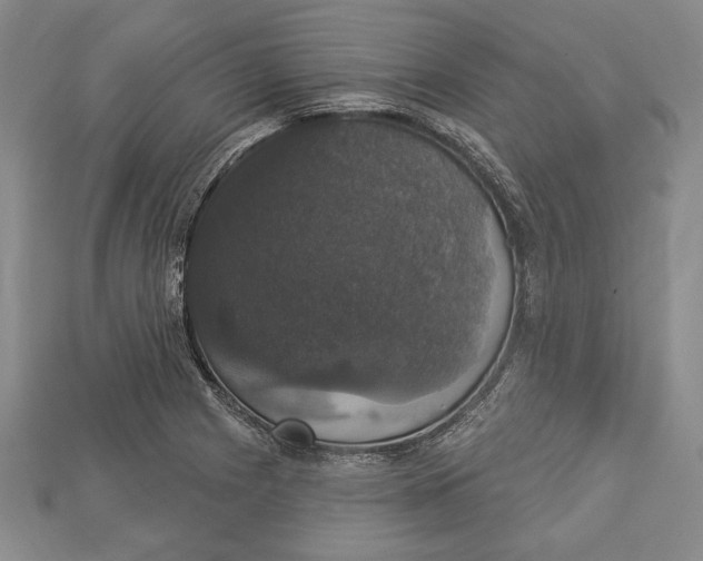 X0000112911225200909211024