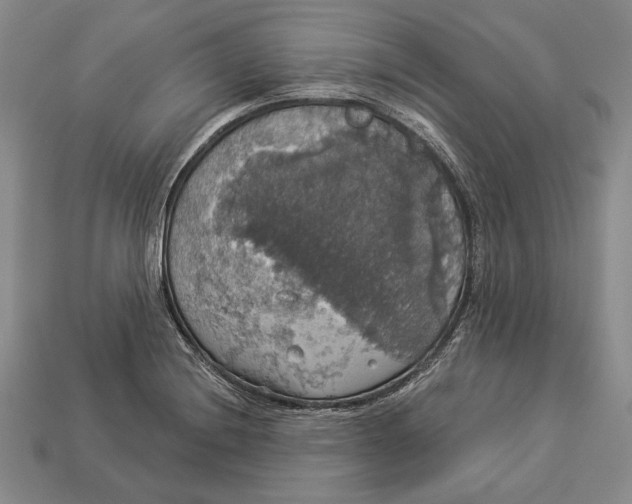 X0000112911228200909211024