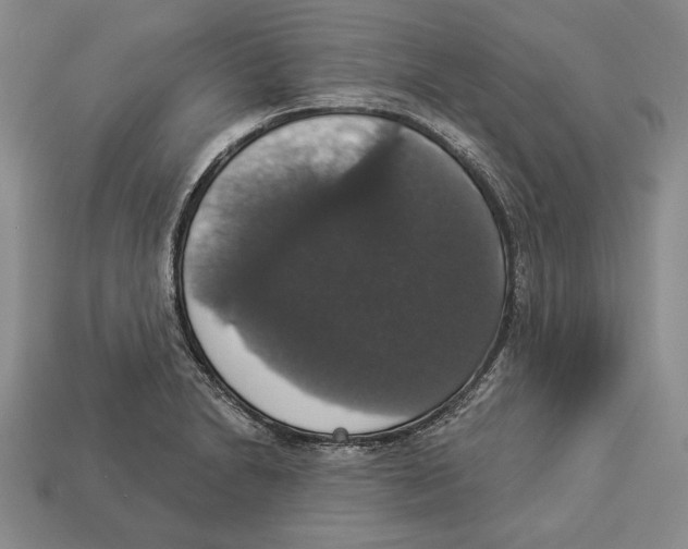 X0000112911230200909211024