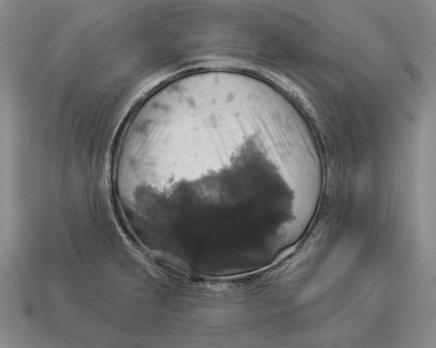 X0000112911231200909211024