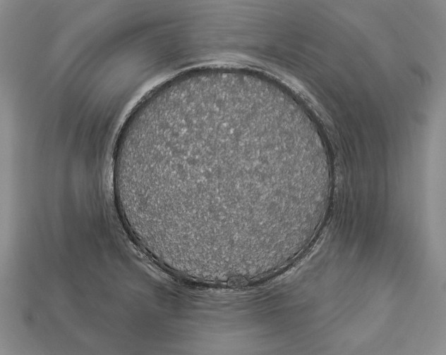 X0000112911232200909211024