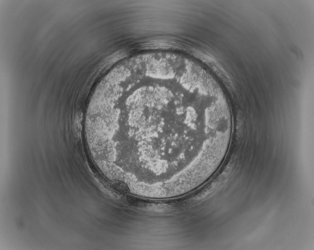 X0000112911233200909211024