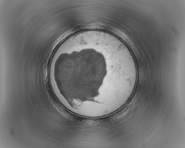 X0000112911234200909211024