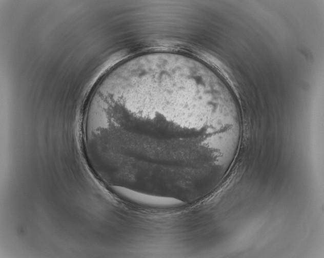 X0000112911235200909211024