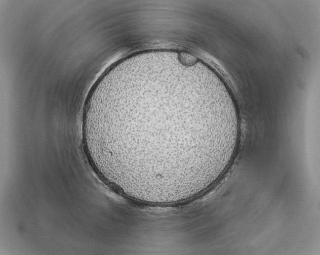 X0000112911236200909211024