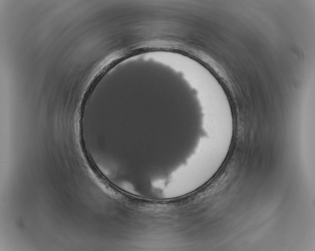 X0000112911237200909211024