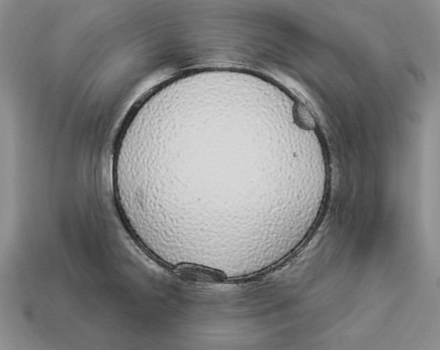 X0000112911238200909211024