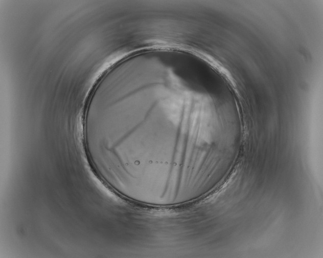 X0000112911239200909211024