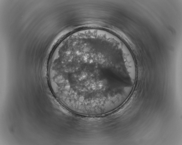 X0000112911240200909211024