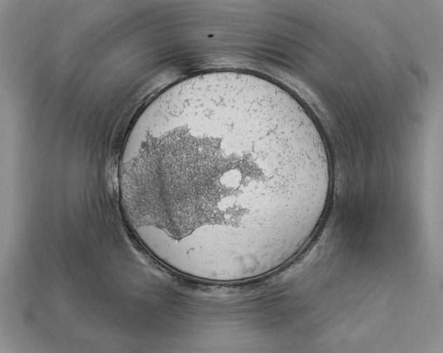 X0000112911241200909211024