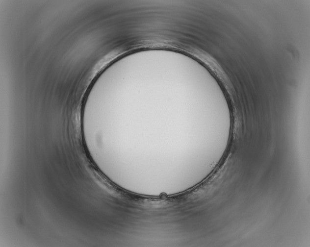 X0000112911242200909211024