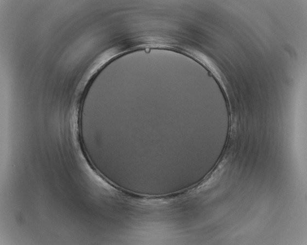 X0000112911243200909211024