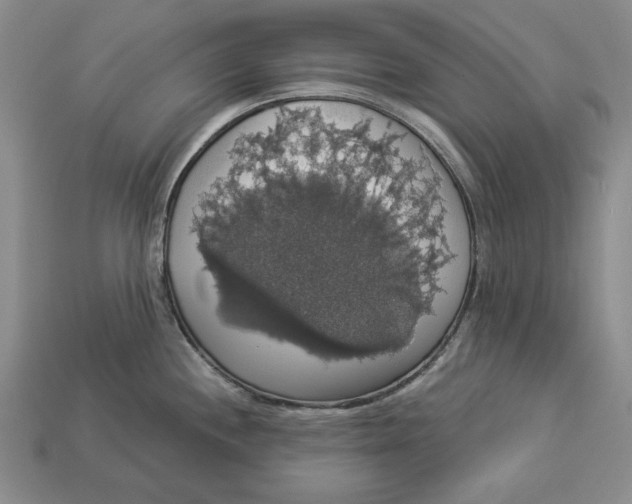 X0000112911244200909211024