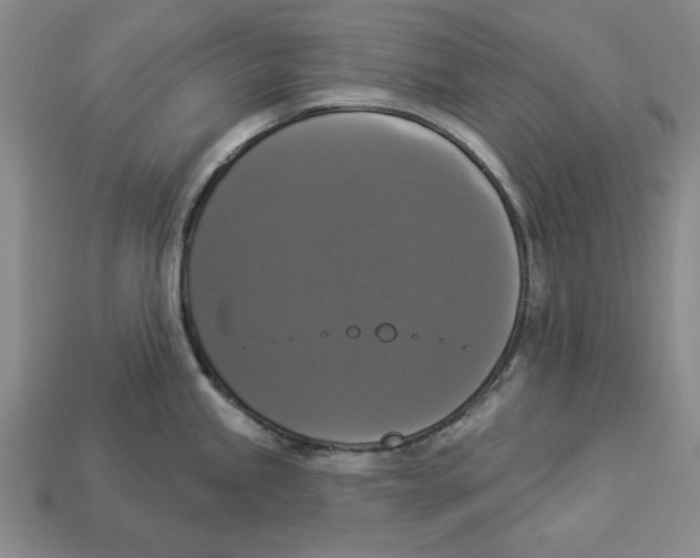 X0000112911245200909211024