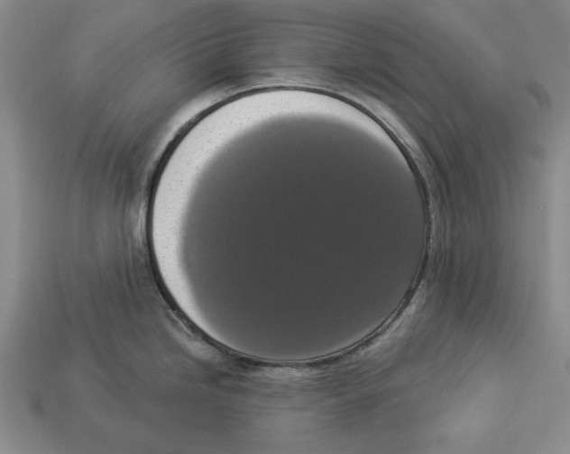 X0000112911246200909211024