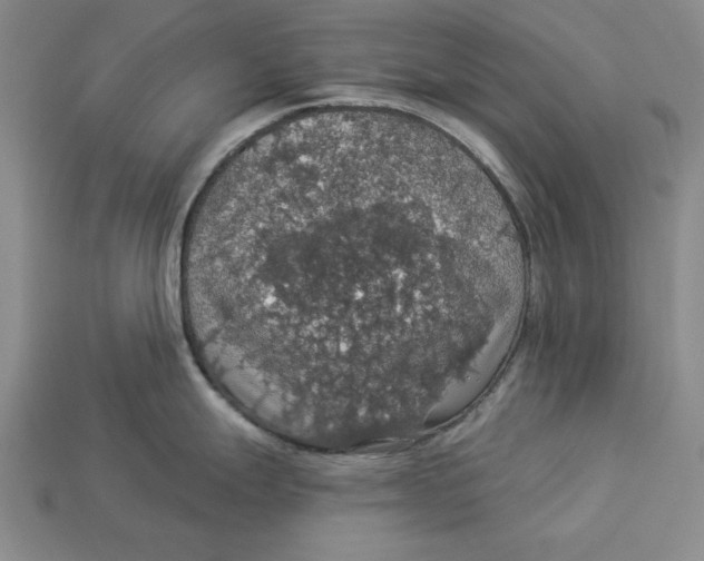 X0000112911247200909211024