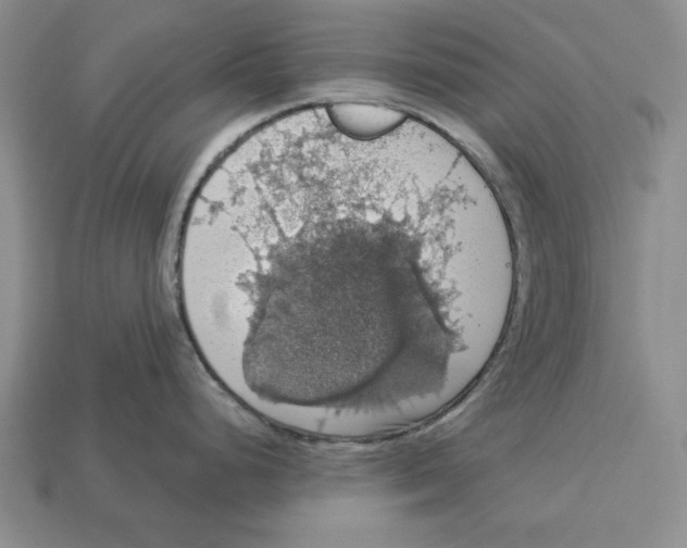 X0000112911248200909211024