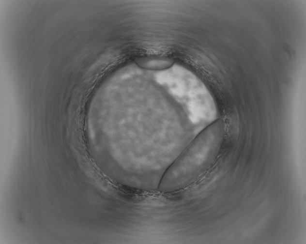 X0000112911249200909211024