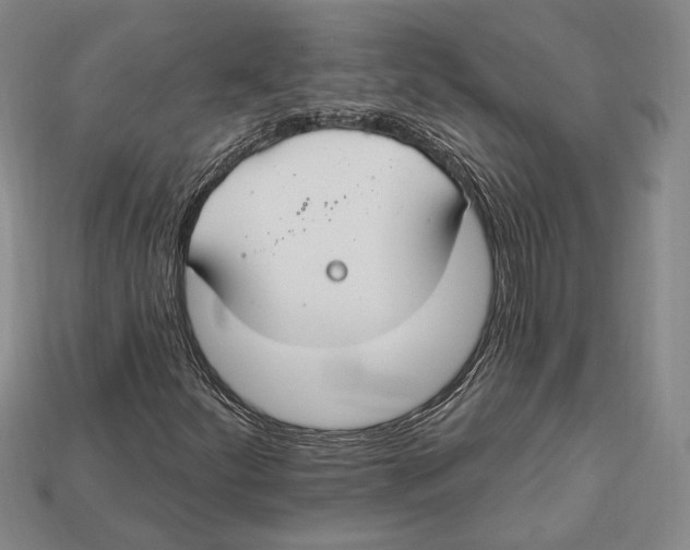 X0000112911252200909211024