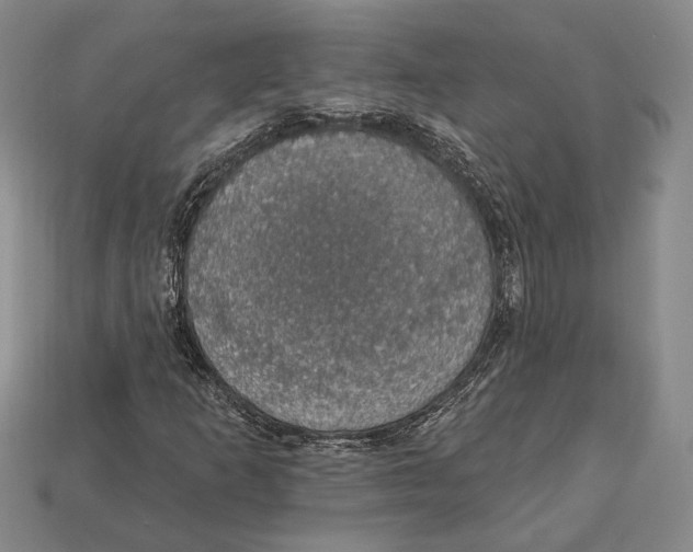 X0000112911253200909211024