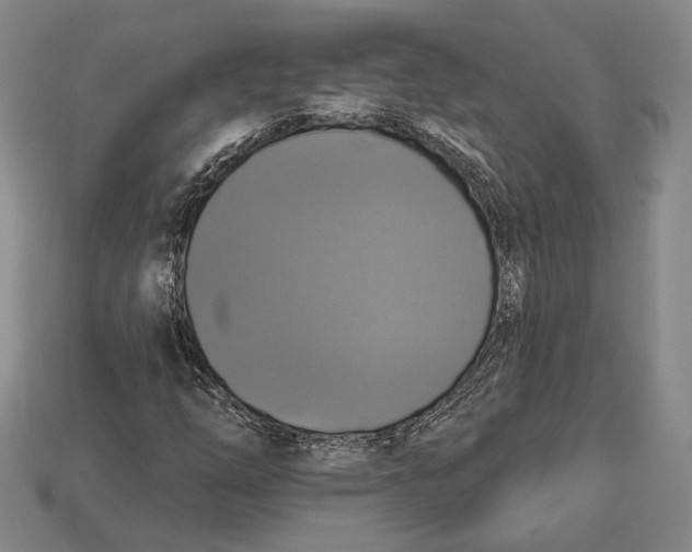 X0000112911254200909211024