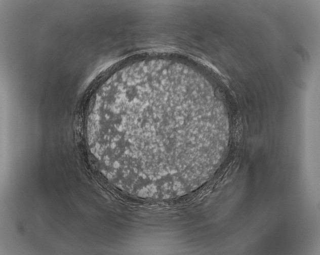 X0000112911255200909211024