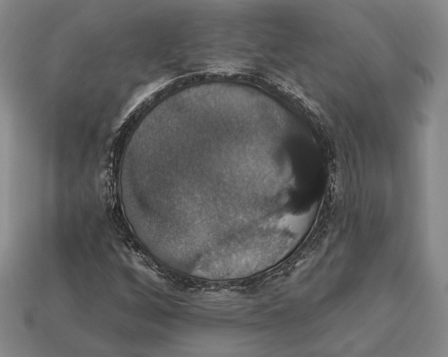 X0000112911256200909211024