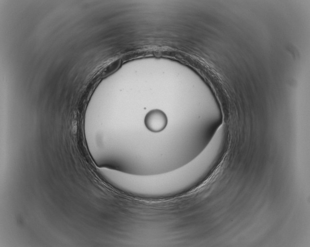 X0000112911257200909211024