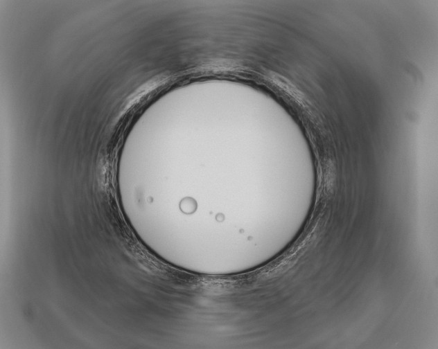 X0000112911258200909211024