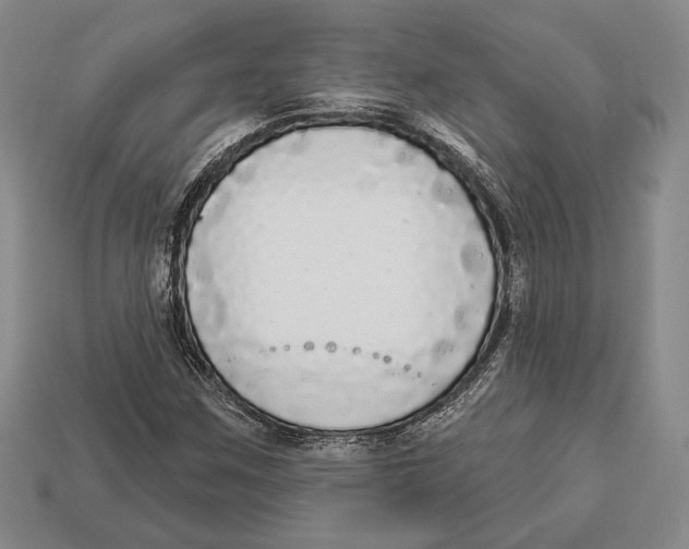 X0000112911259200909211024