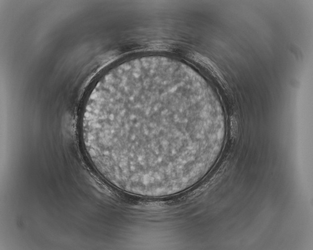 X0000112911260200909211024