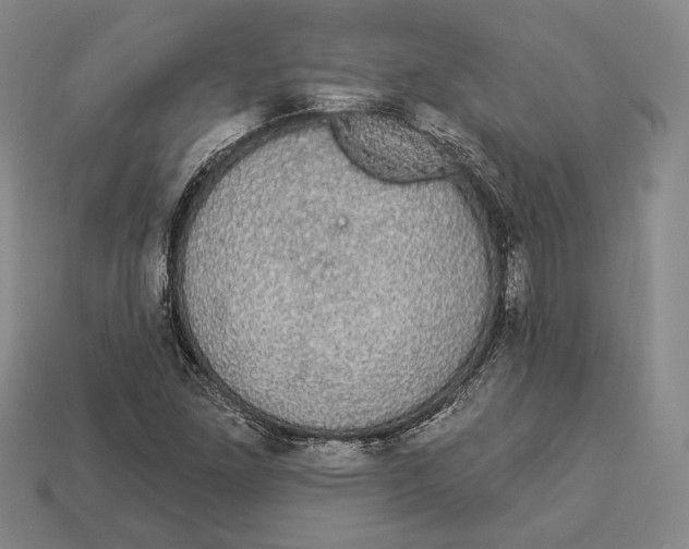 X0000112911261200909211024