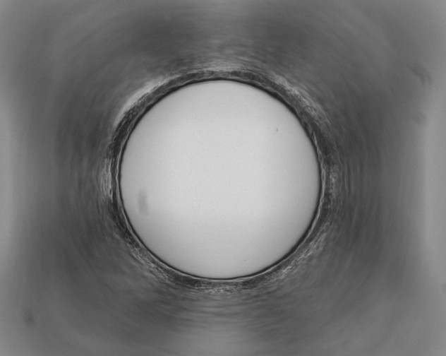 X0000112911262200909211024