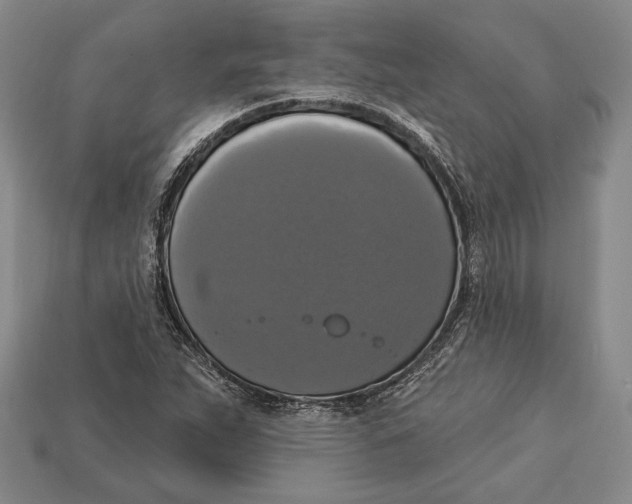 X0000112911263200909211023