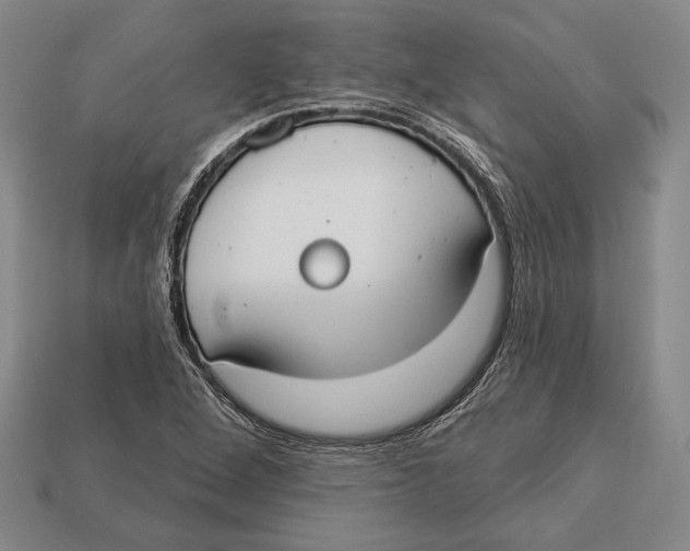 X0000112911264200909211023