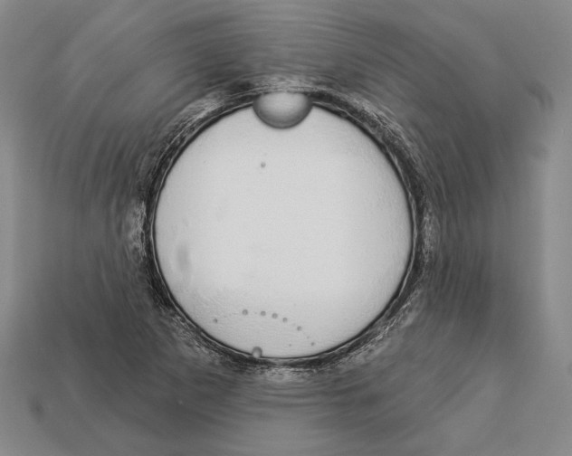 X0000112911265200909211023