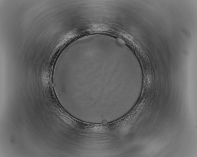 X0000112911266200909211023